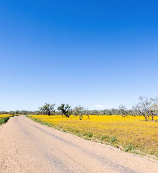 Paul’s Pandaemonium Spotlight