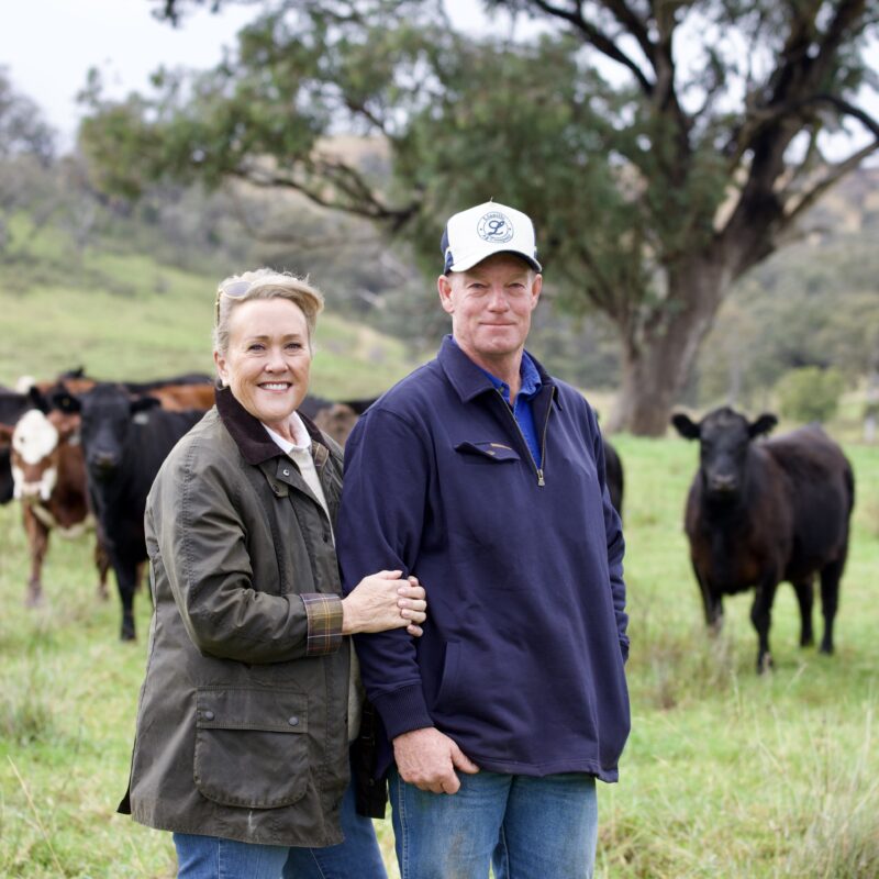 Agribusiness Succession to Survival – and Now, Growth