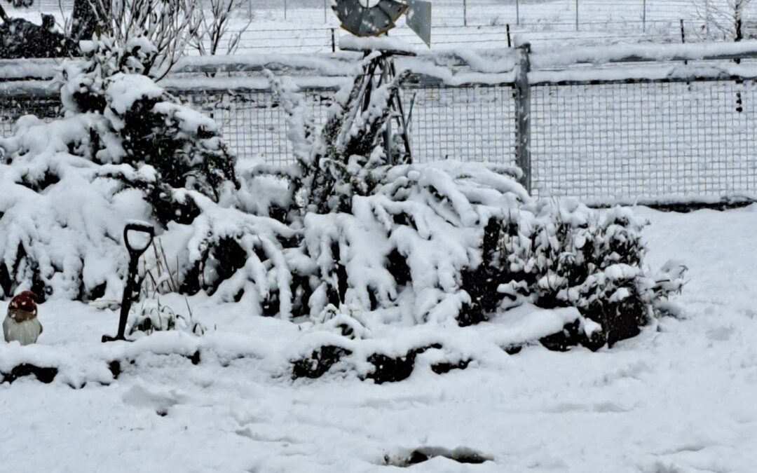Could you be eligible for a Grant, Loan, or Subsidy after the recent Snow Event?