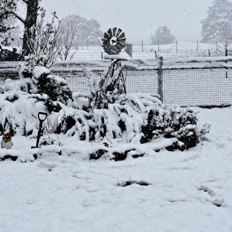 Could you be eligible for a Grant, Loan, or Subsidy after the recent Snow Event?
