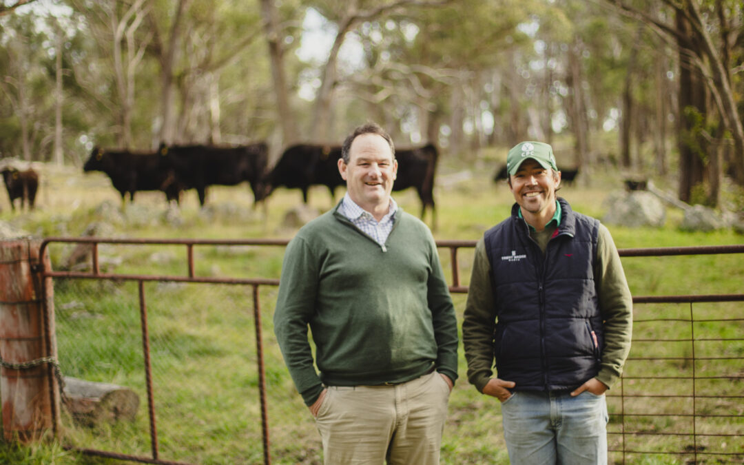 Succession Planning Beyond the Numbers: How Sam Notley Helps Farming Families Build a Legacy