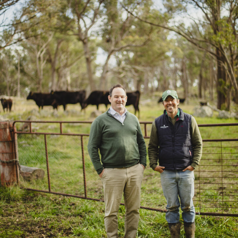 Succession Planning Beyond the Numbers: How Sam Notley Helps Farming Families Build a Legacy