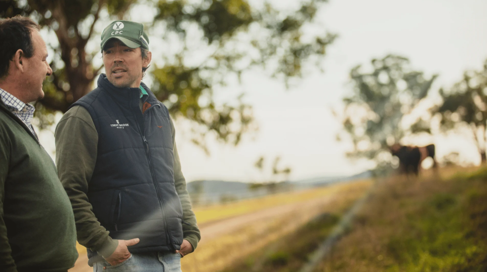 Why trusted advisors matter for farm business growth: Trent Bridge Wagyu’s experience